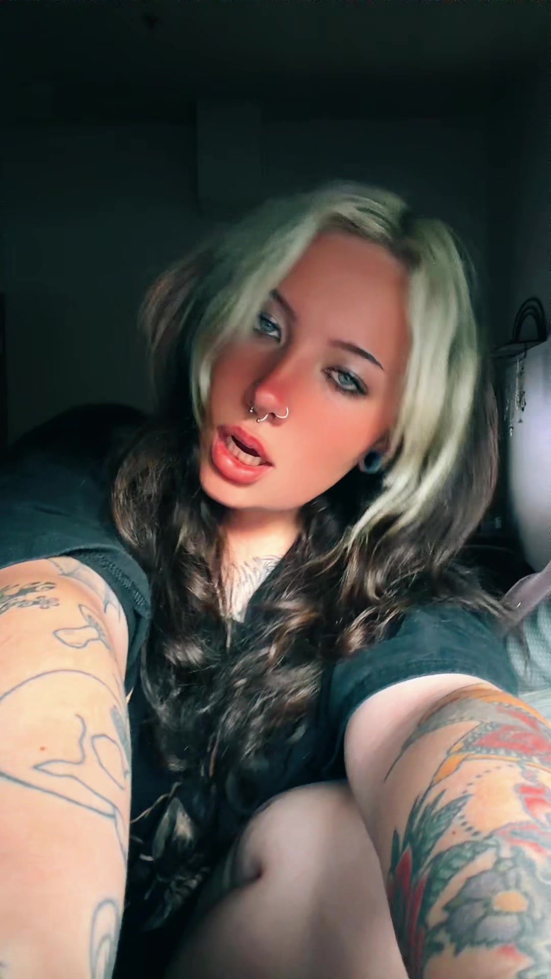 @Lexisaurus 🦕