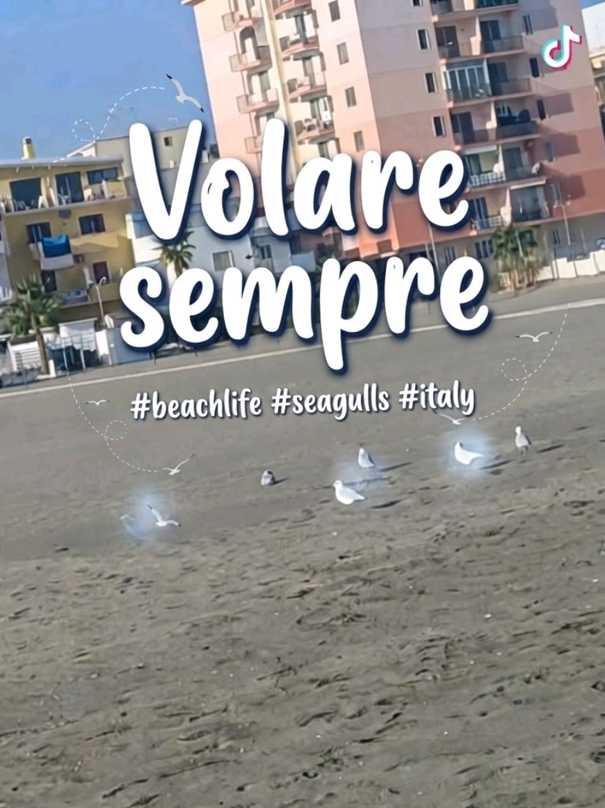 @Fenicottero Reale 🦩