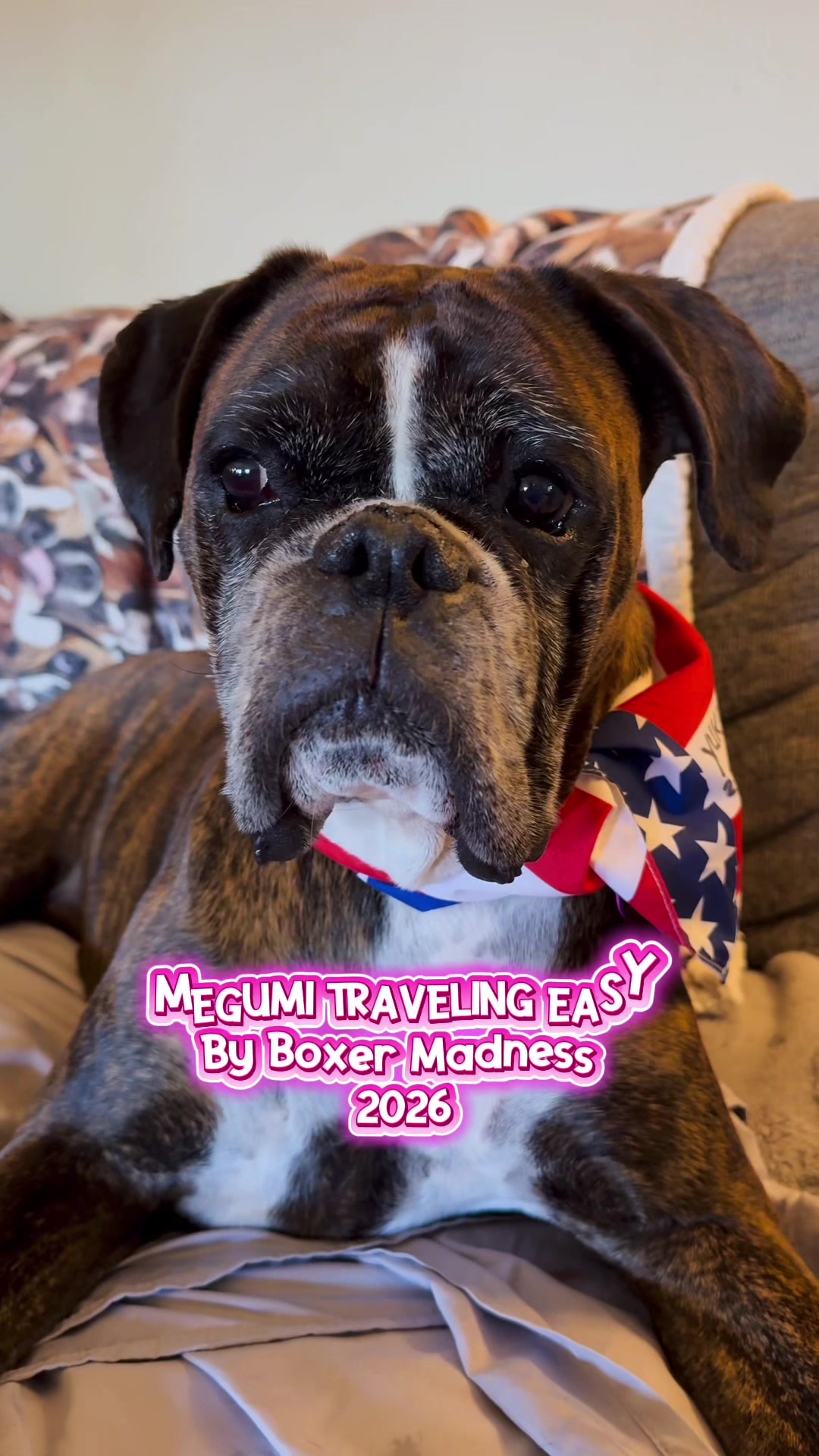 @boxermadness
