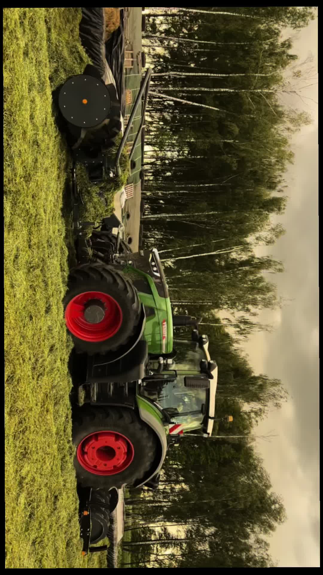 @ rogowski.z.fendta_ 