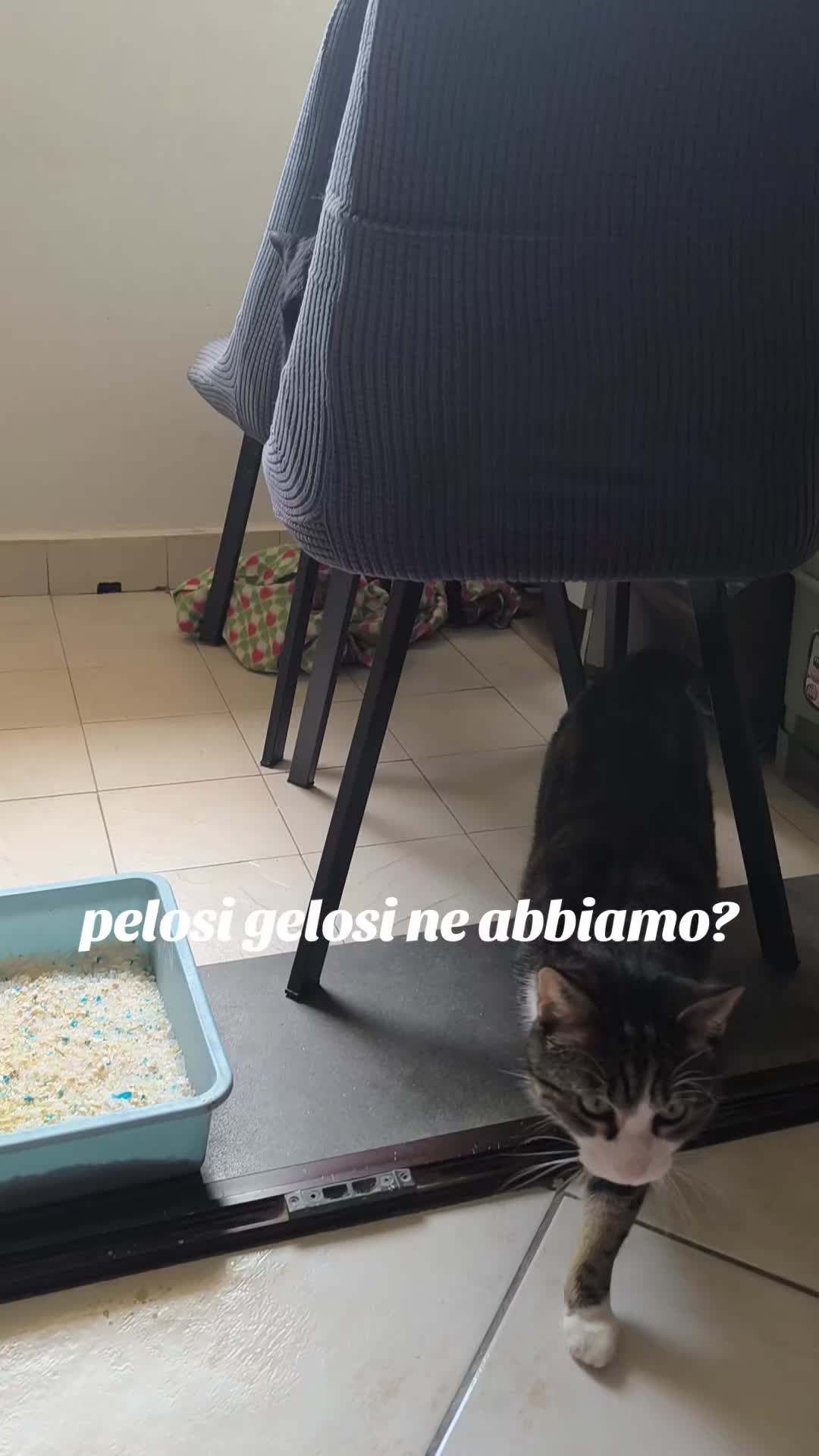 @Pina