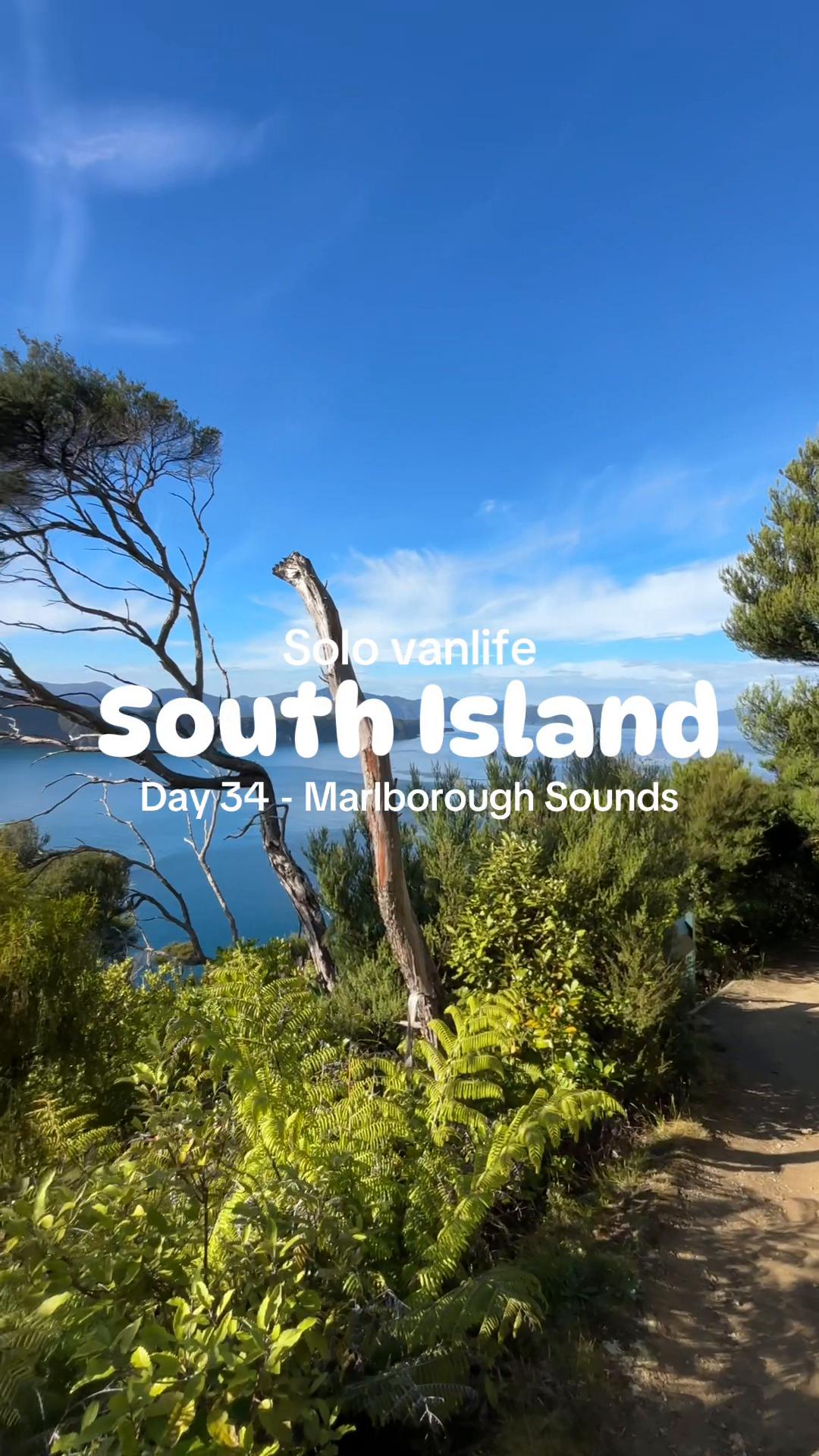 @idwerd&ensp;|&ensp;travel NZ🇳🇿🚐 & AUS