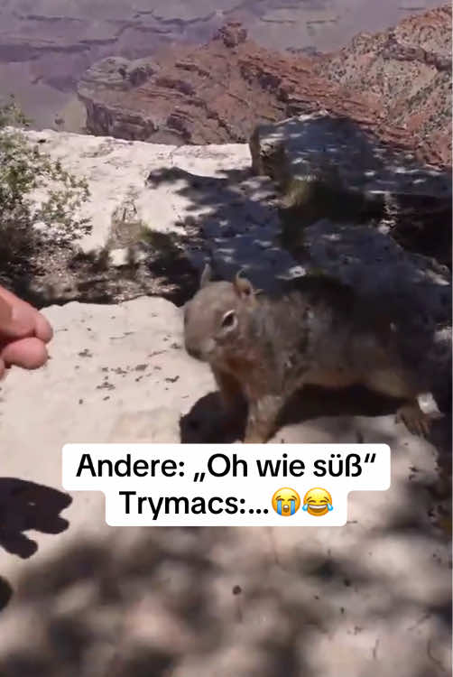 @Trymacs