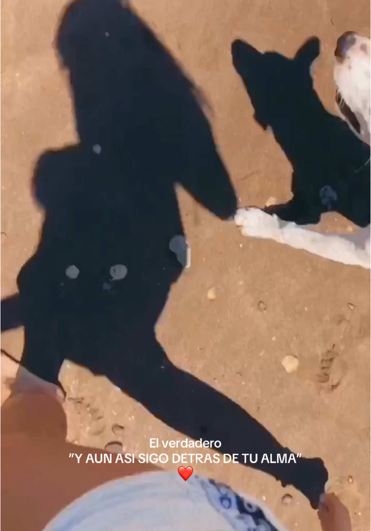 @Magggg