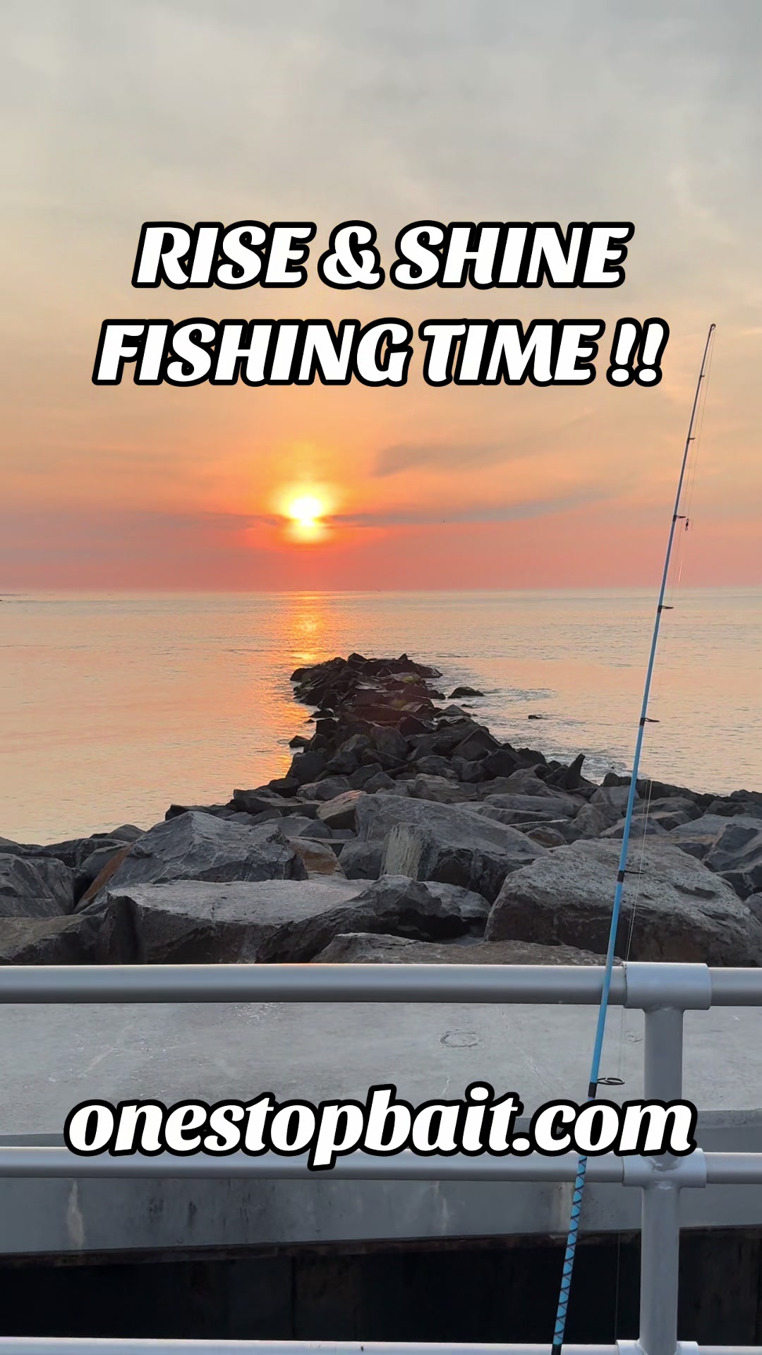 @One stop bait & tackle