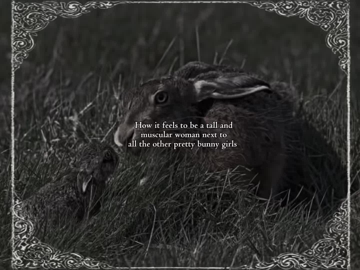 @𝕰𝖒𝖕𝖞𝖗𝖊𝖆𝖓🪽👑
