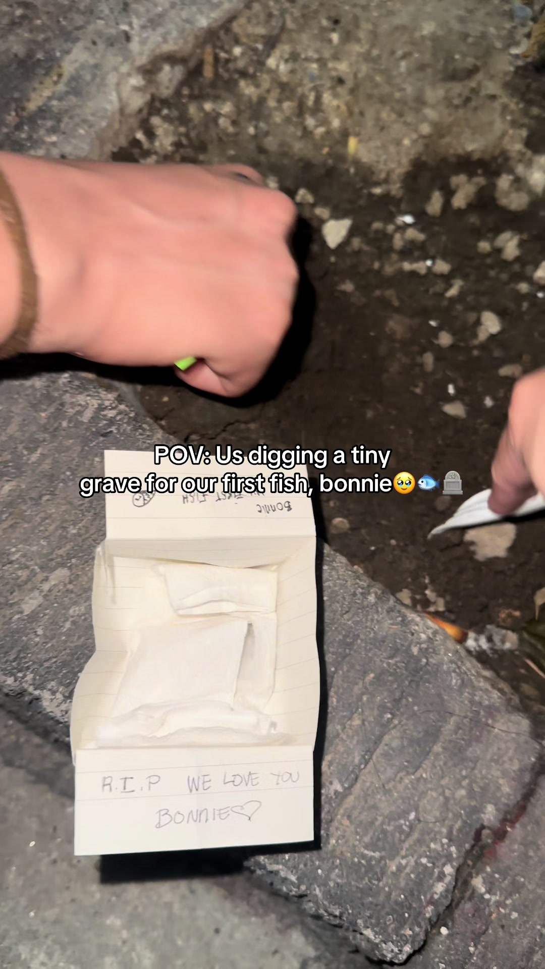 @Chantalshiii
