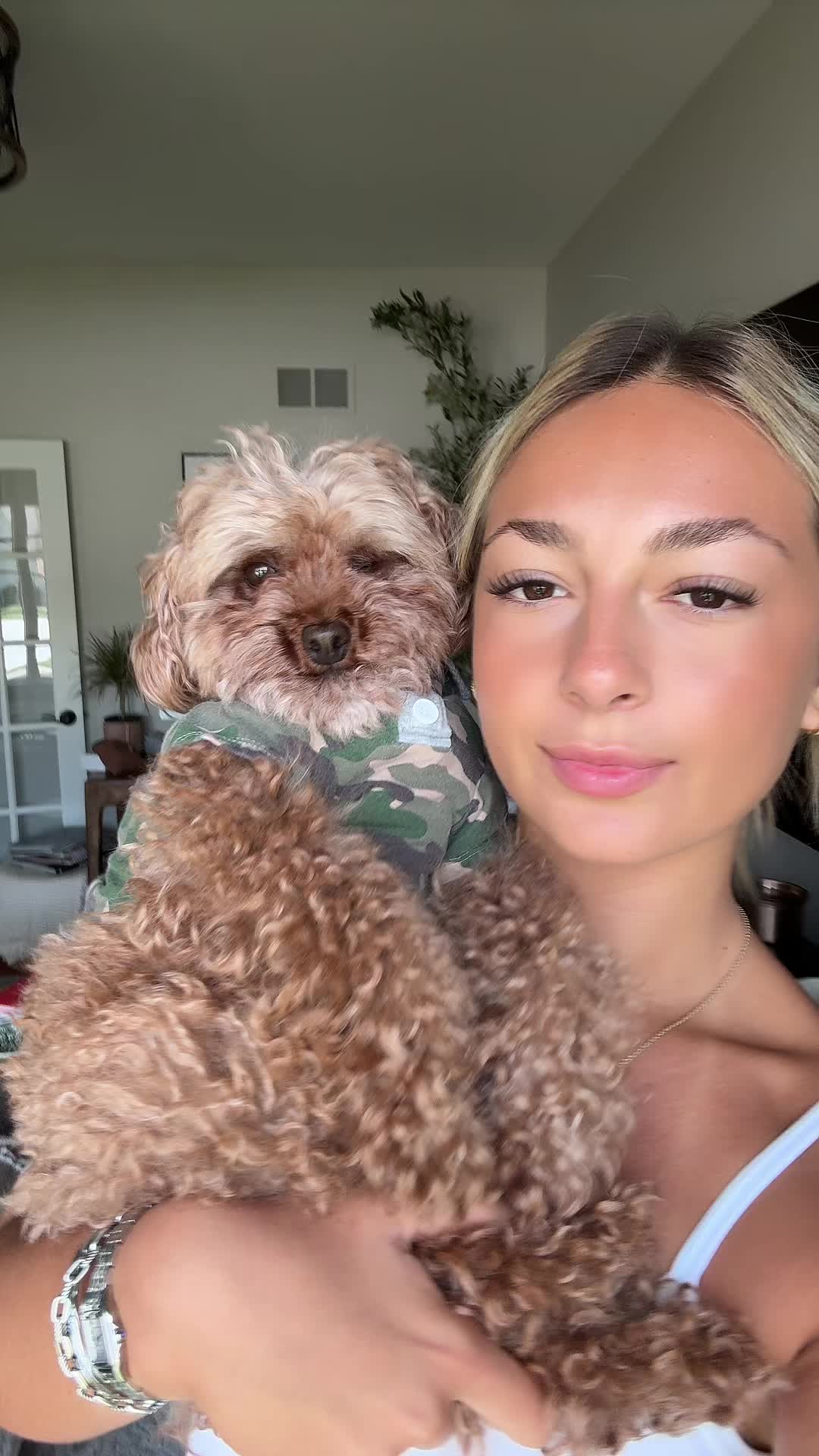 @stanojcic