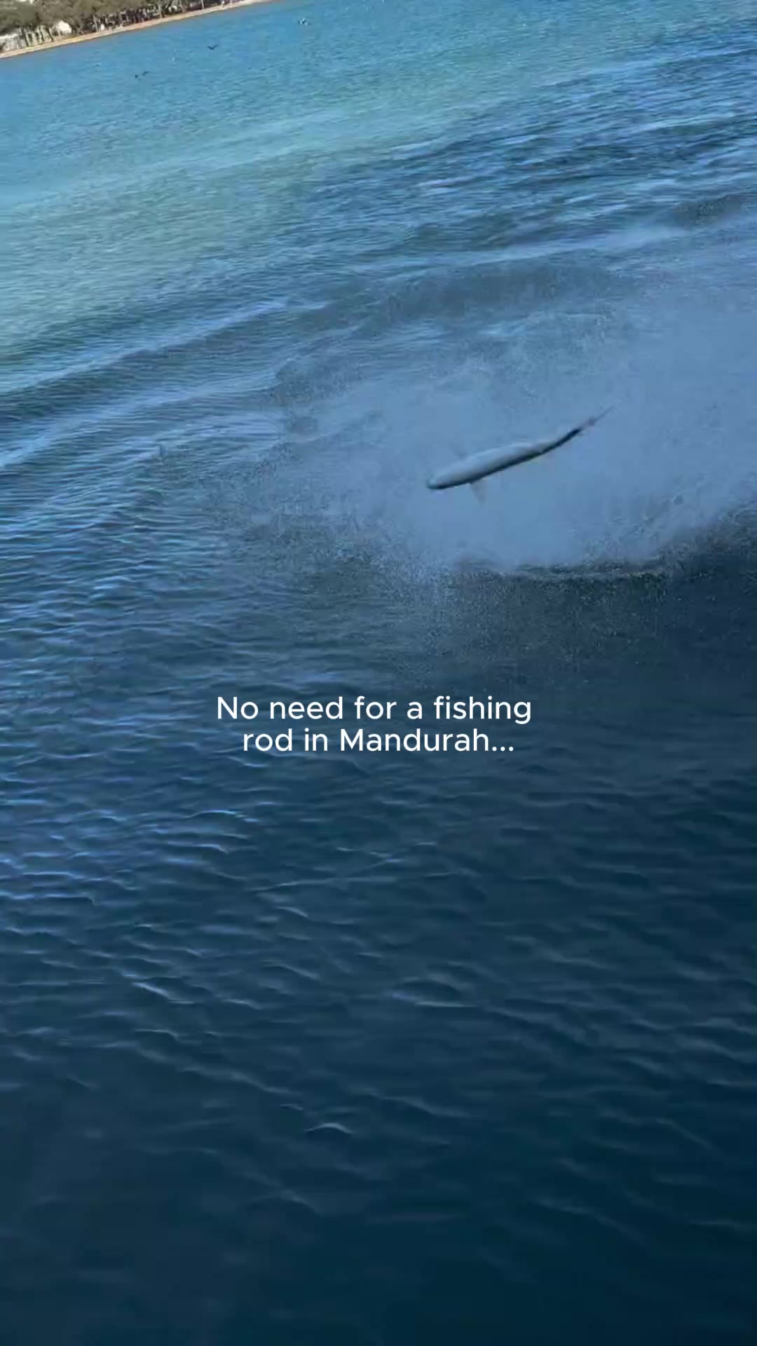 @Visit Mandurah