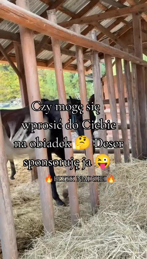 @🔥BŁYSK NADZIEI🔥