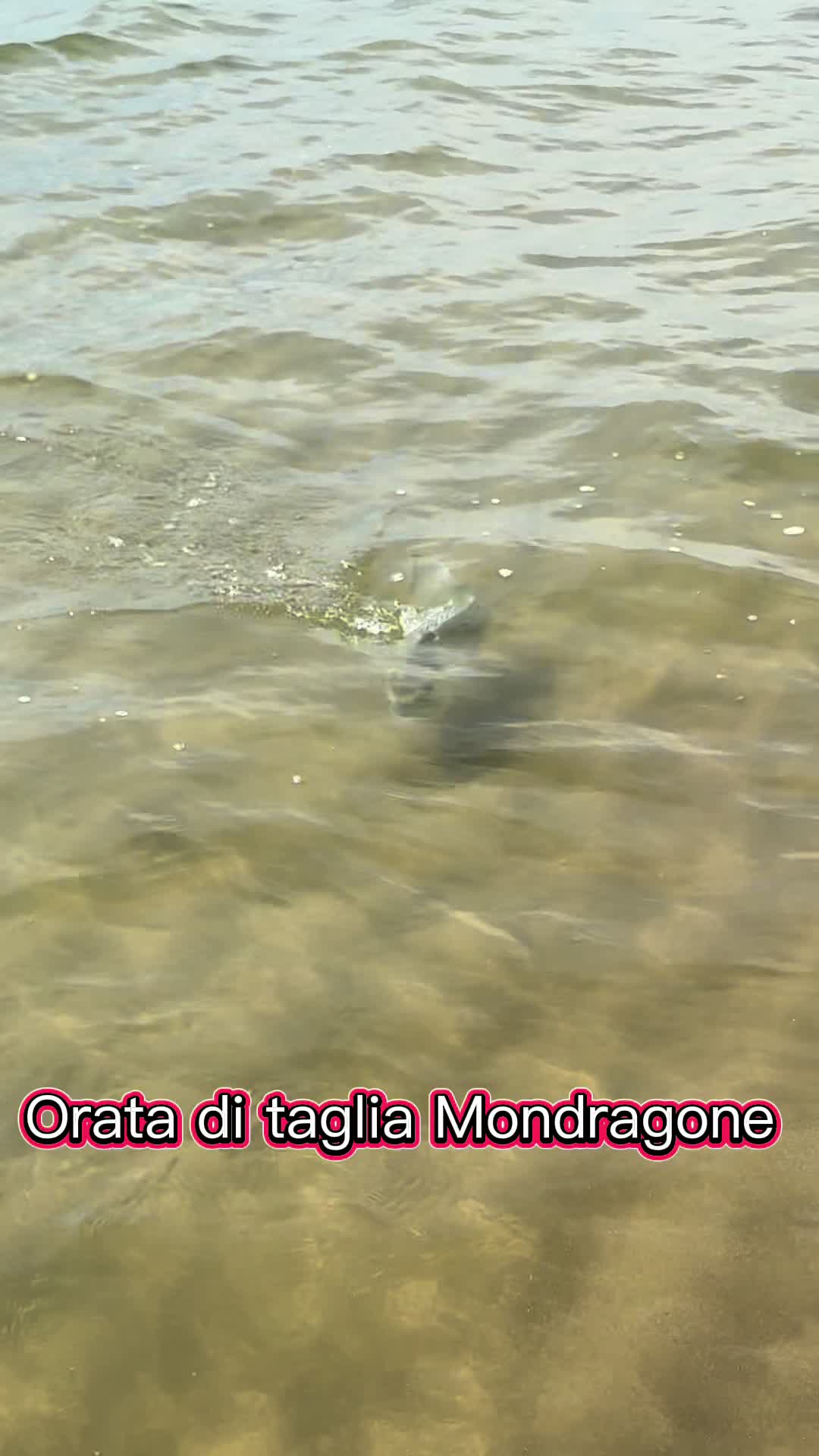 @BIAGIO MORRA