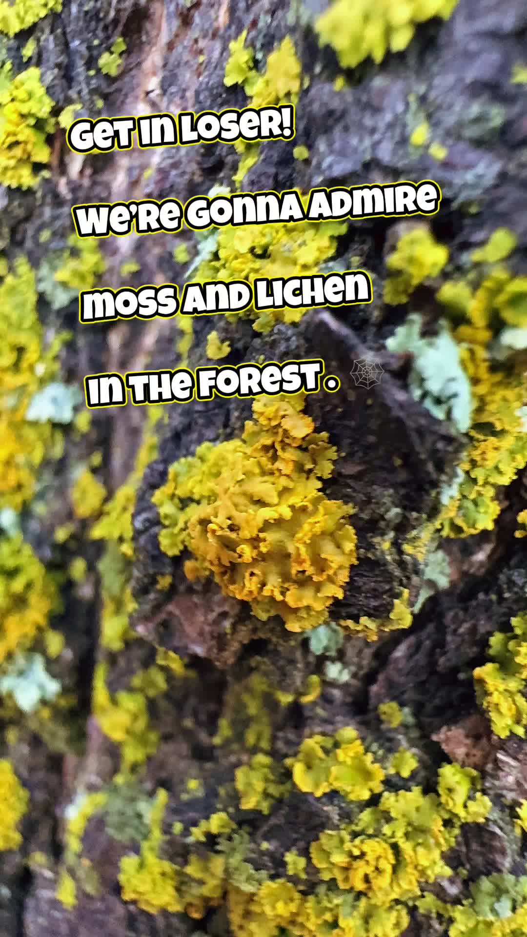@a_leigh_n