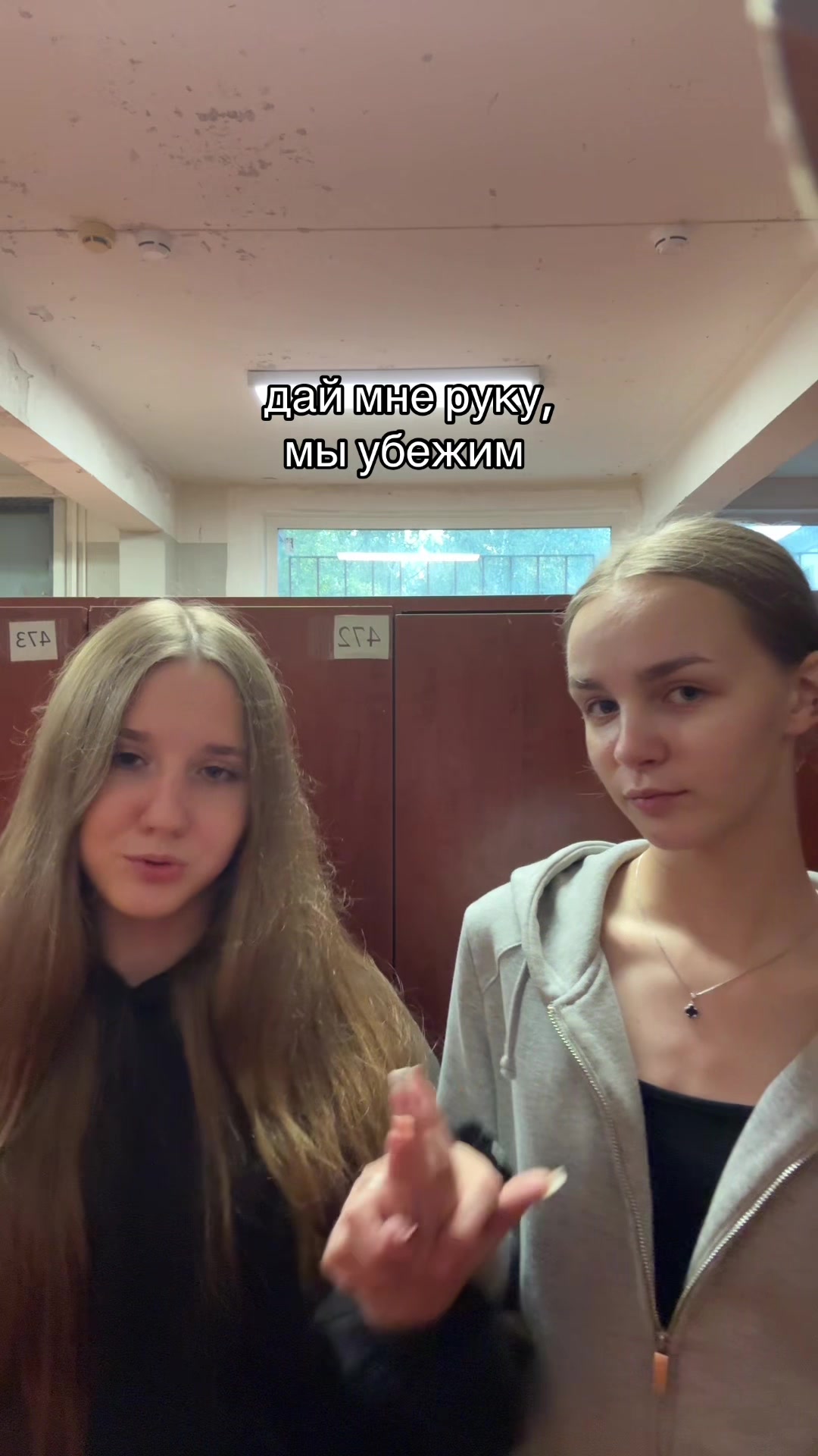 @belka.dream