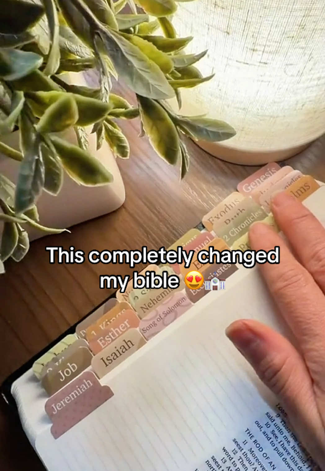 @kelseytiktokshop