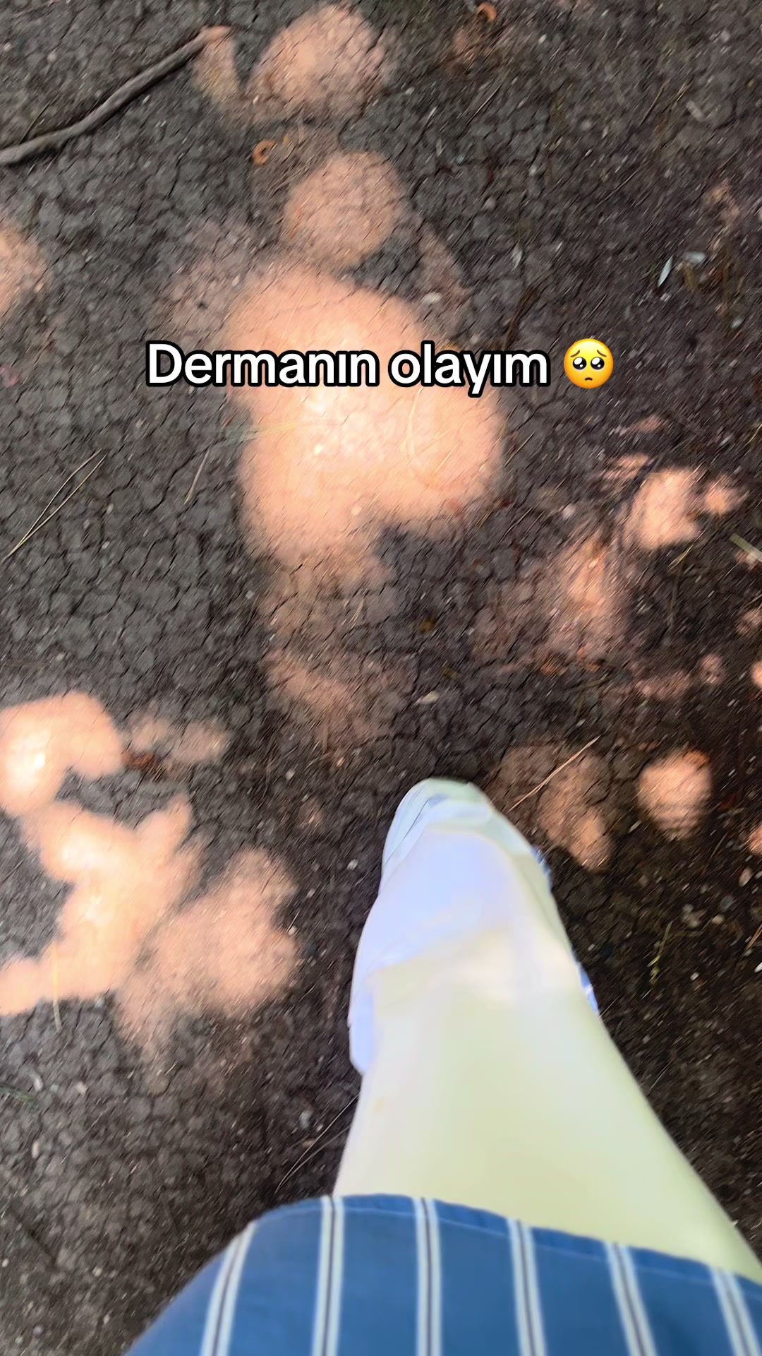 @zeynphavinnnnnnnn