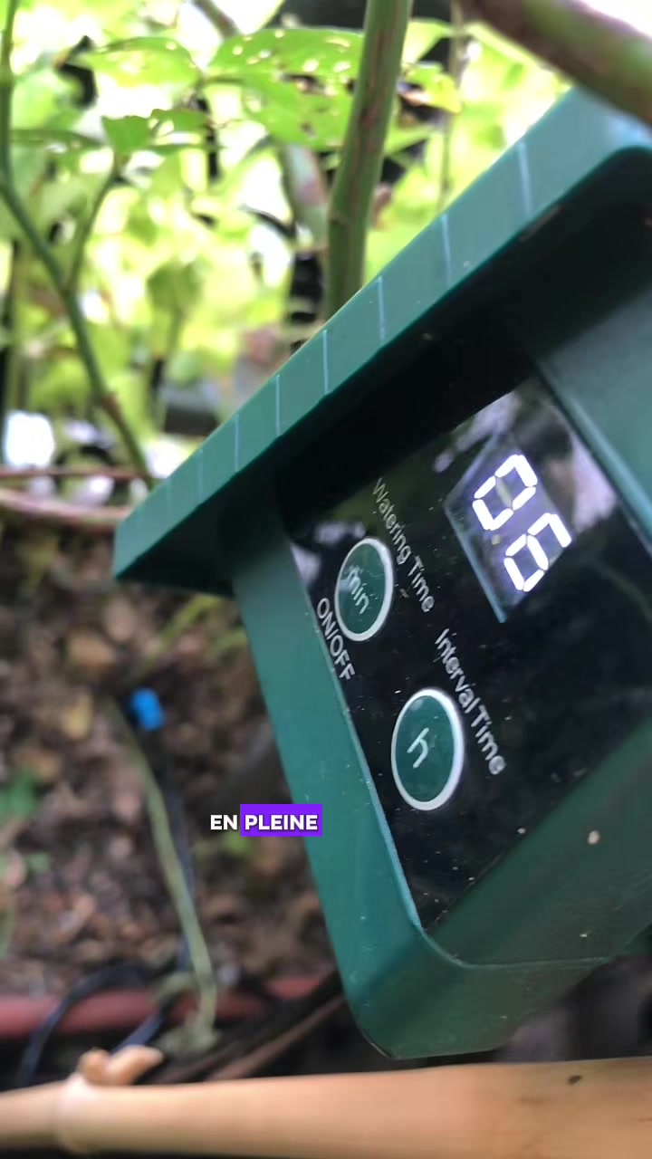 @lecoindesplantes