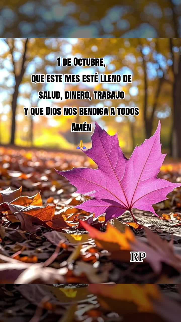 @🎶🎵🎧LUNA🎶🎵🎧