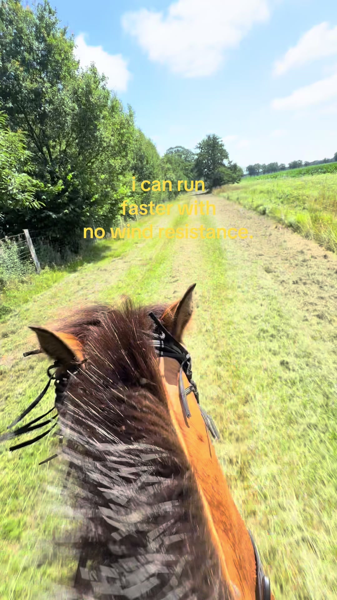 @𝖬𝖺𝗒𝖺 ❦