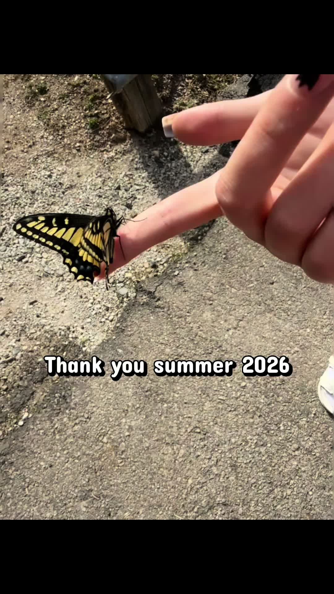 @aj12457
