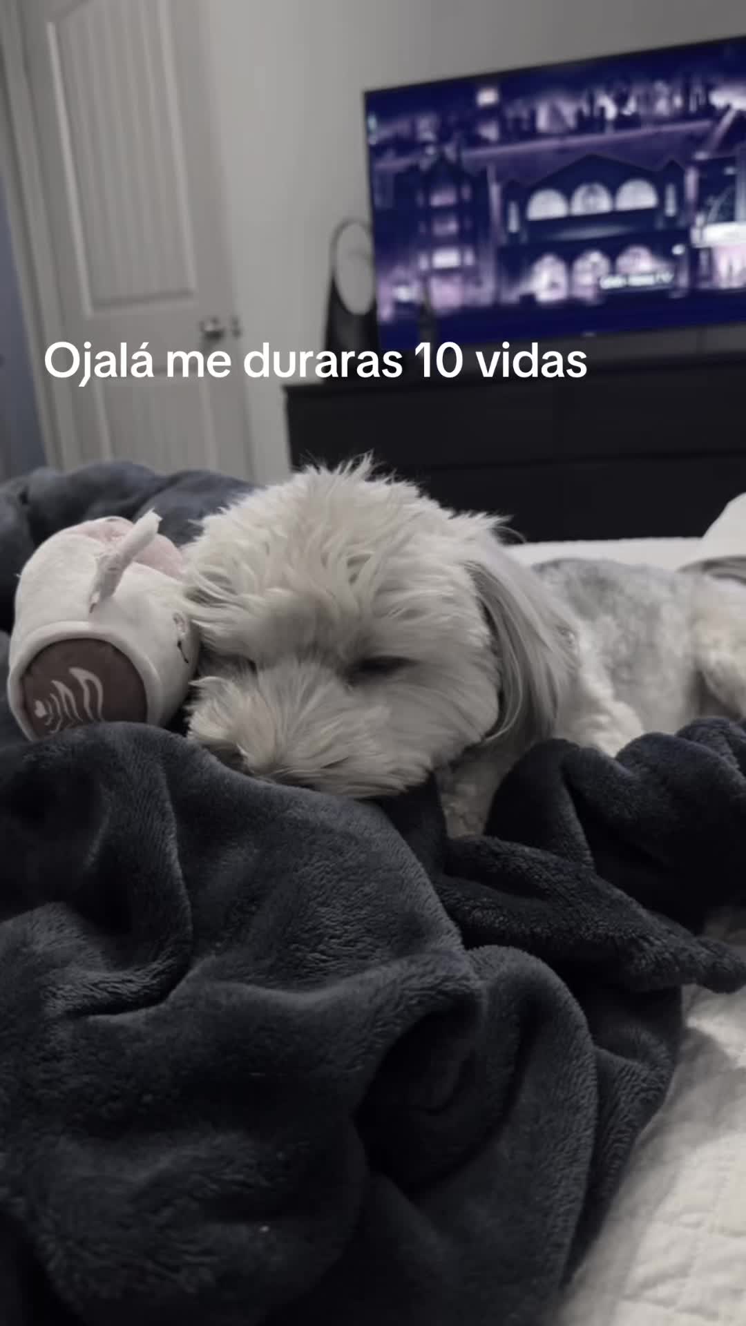 @AndyZL1