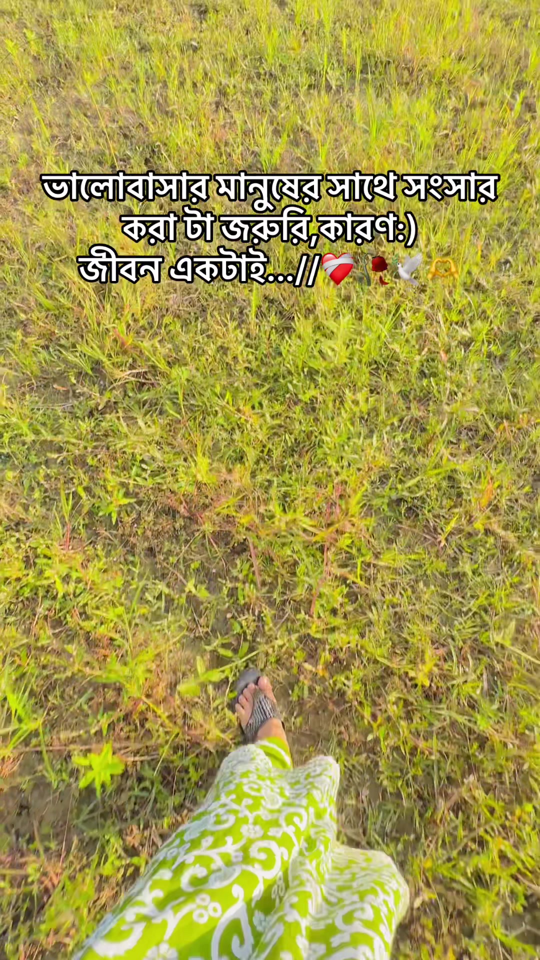 @❤️Sujon’s wife❤️