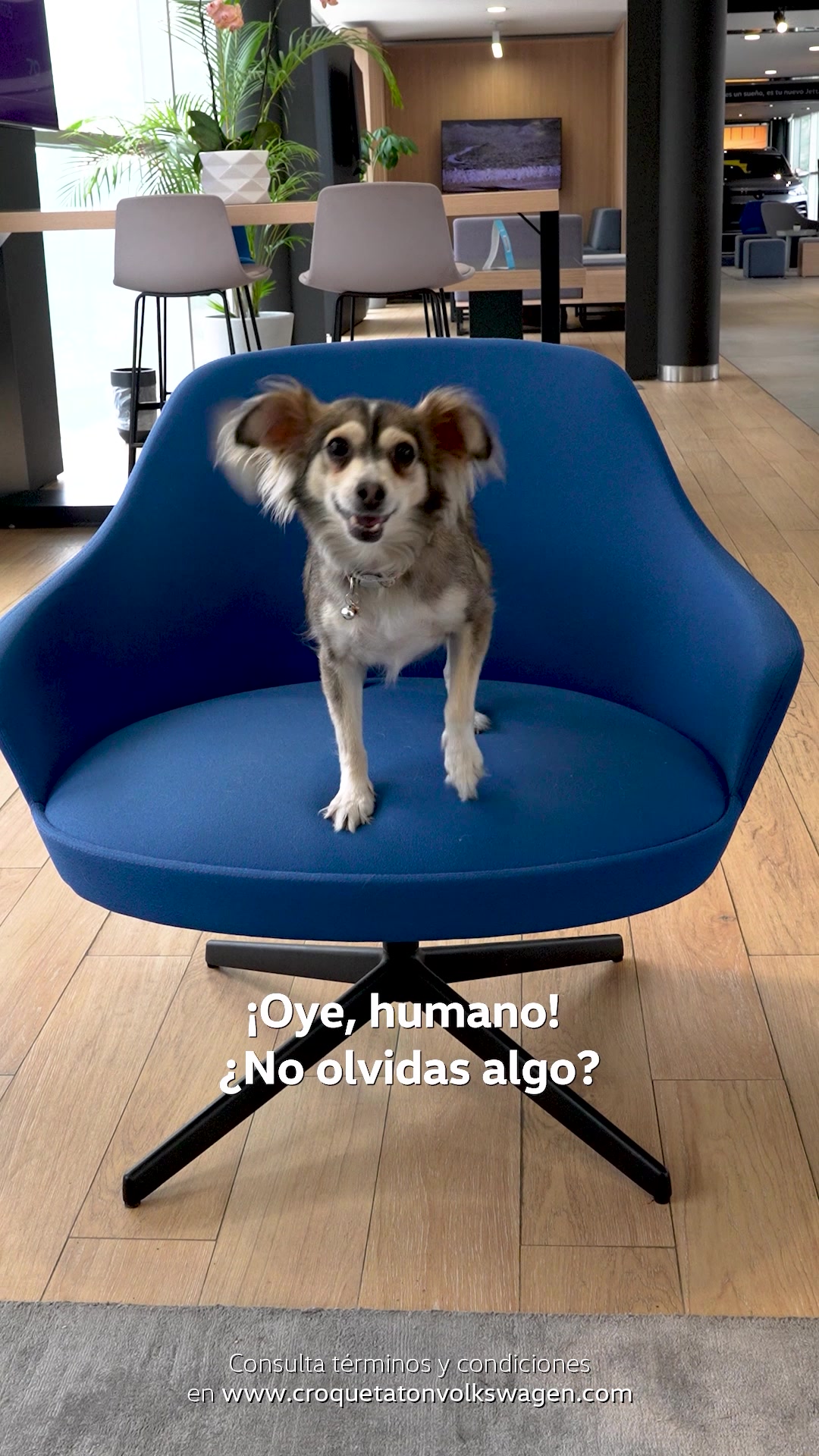 @Volkswagen Auto Ventas