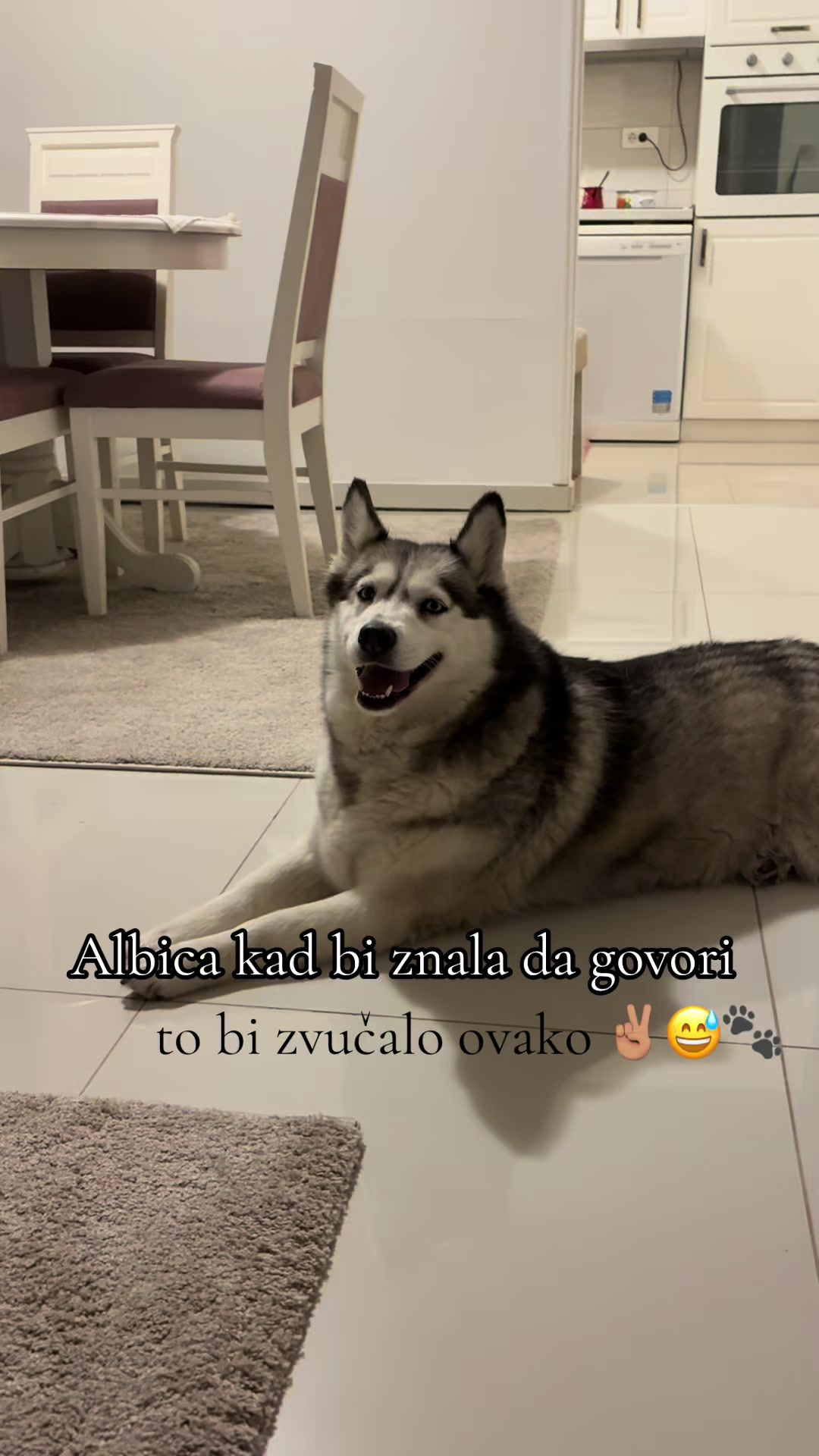 @sasictamara 🏃🏽♀️📚
