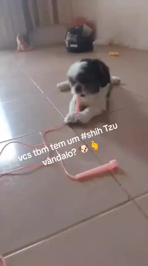 @Milena Santiago