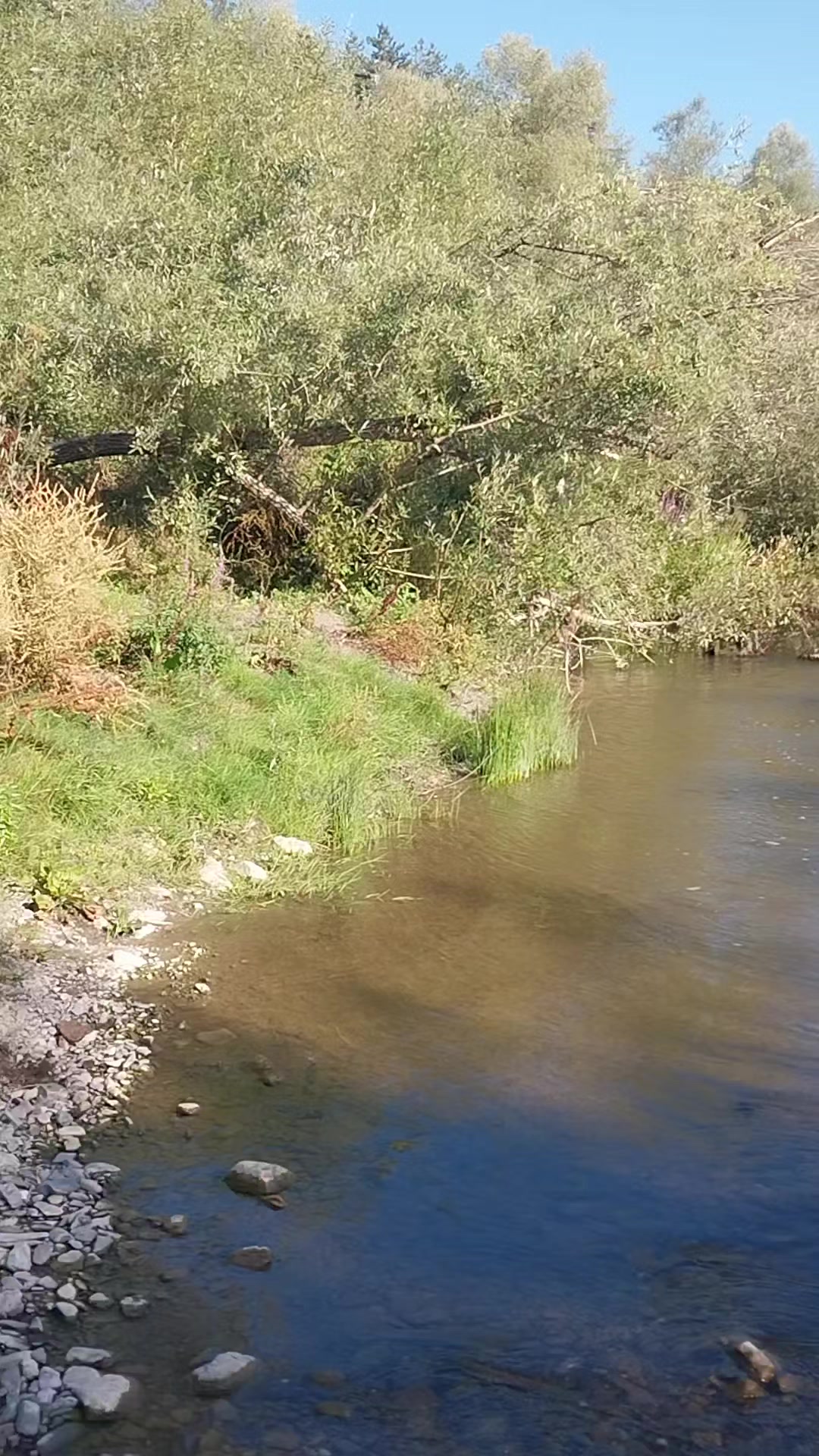 @ZEMİ