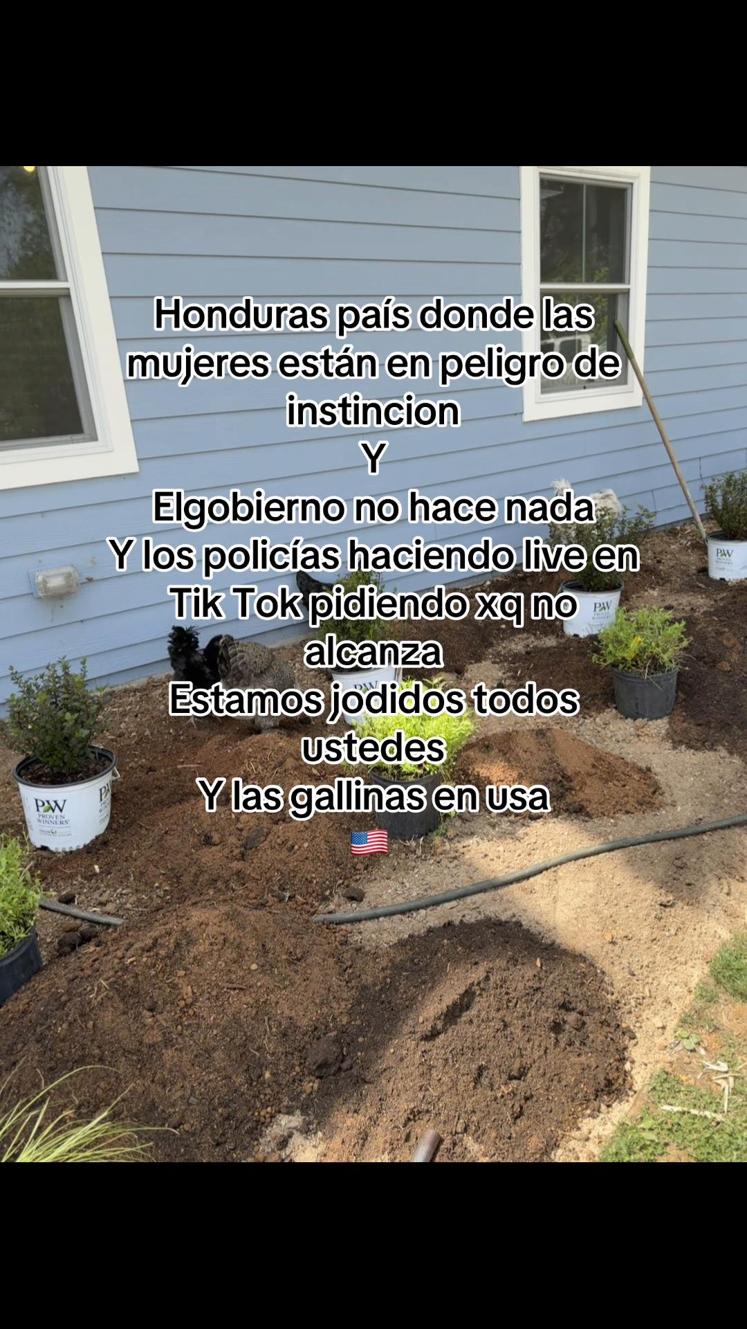 @🇺🇸🇭🇳𝔰𝔥𝔞𝔪𝔭𝔢𝔯🇭🇳🇺🇸