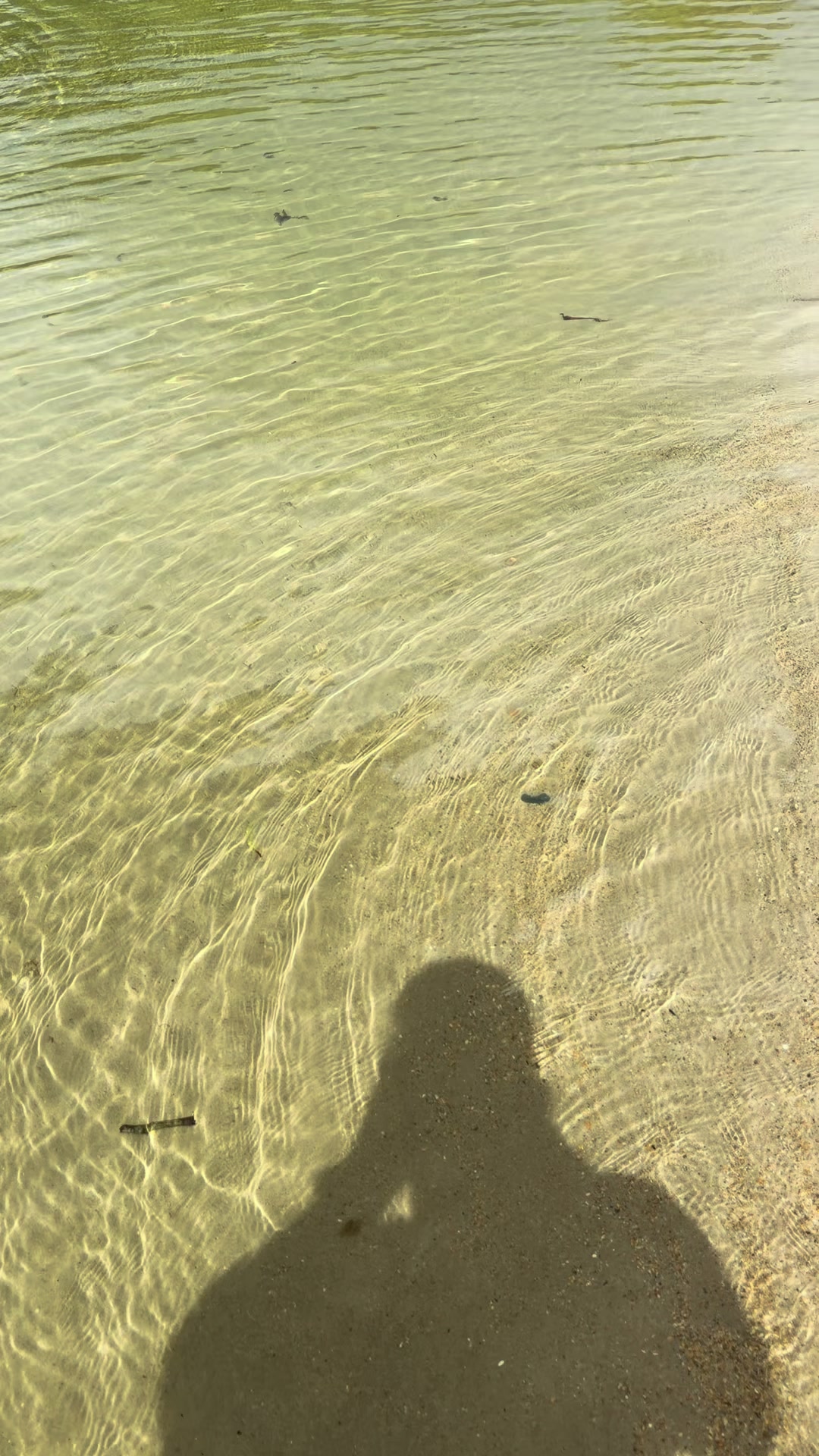 @Trini Surfer™️🇹🇹