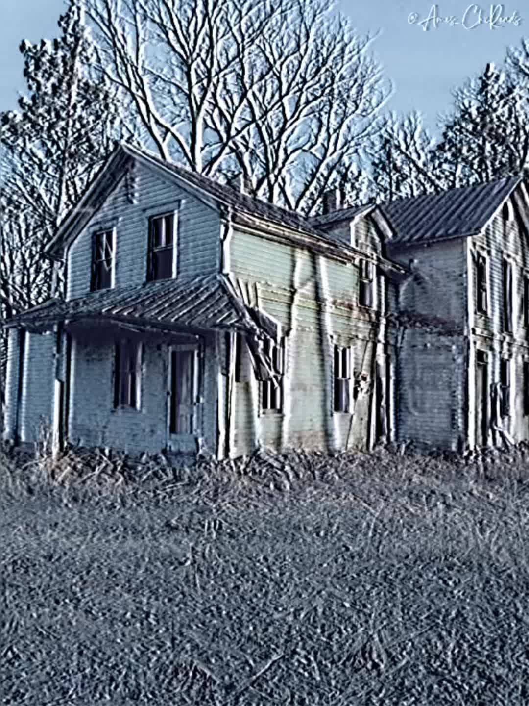 @ames_chicreads