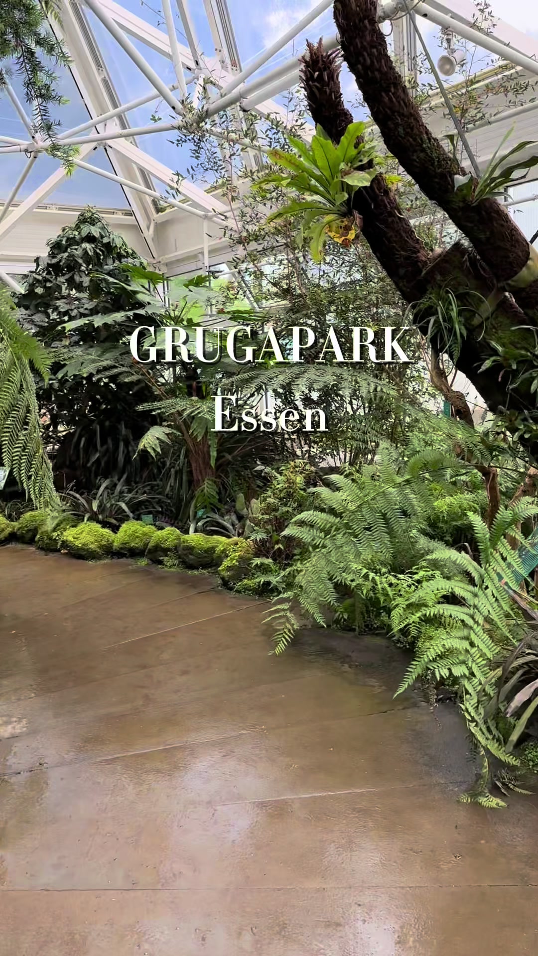 @taste.scape