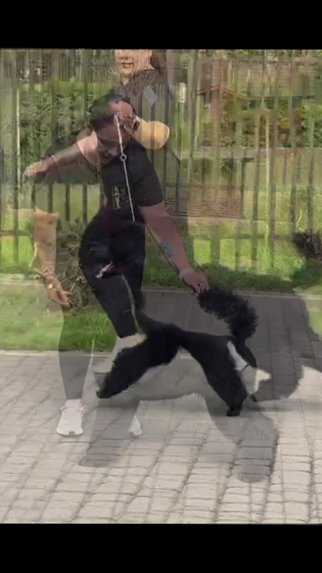 @๐ฅ๐๐๐ฅ๐ฅ๐๐ โ๐๐๐ ๐ฝโ๐๐ฅ