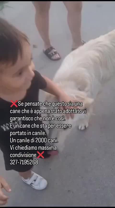 @la_babi_17