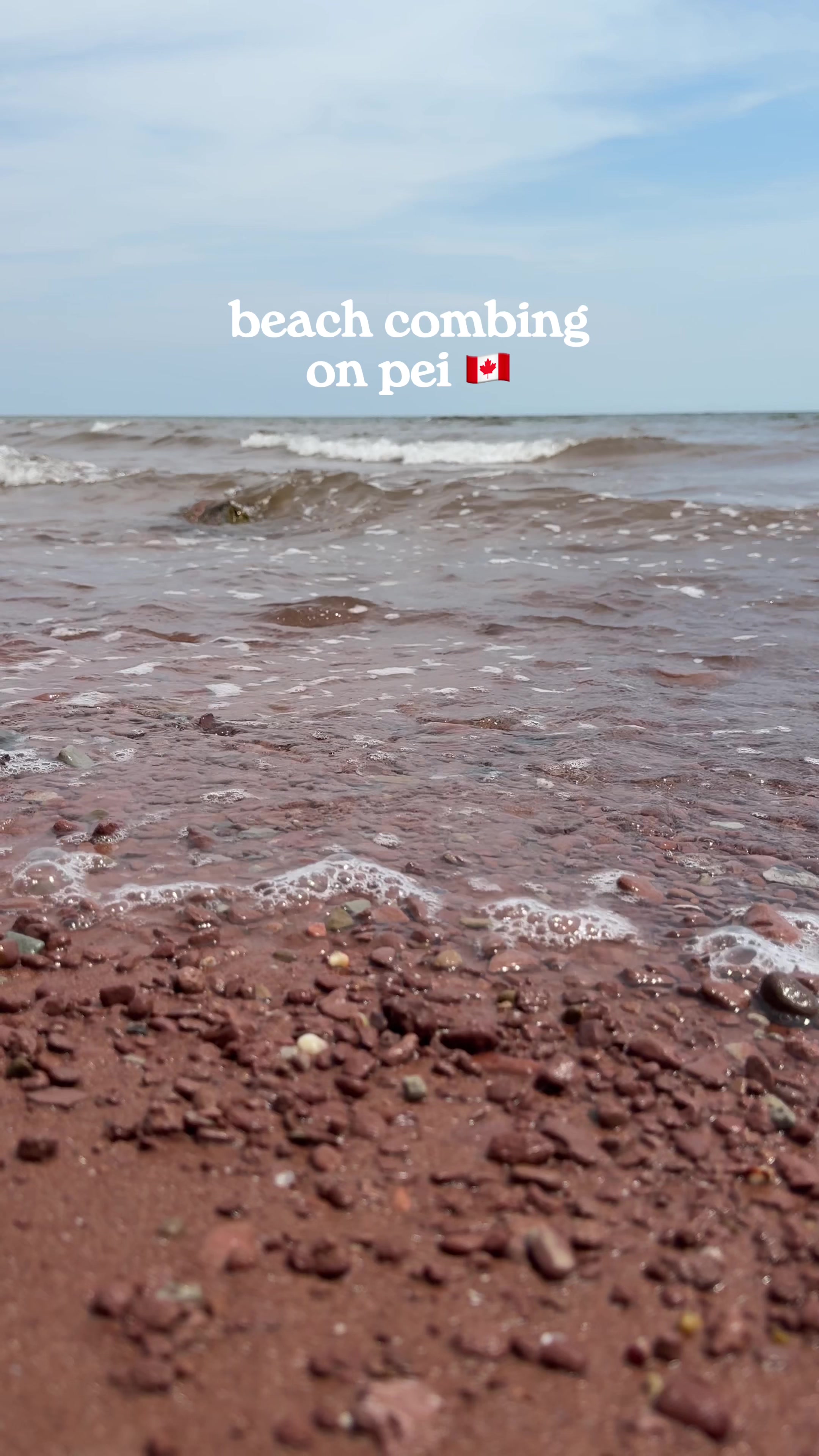 @amanda🐚🌊