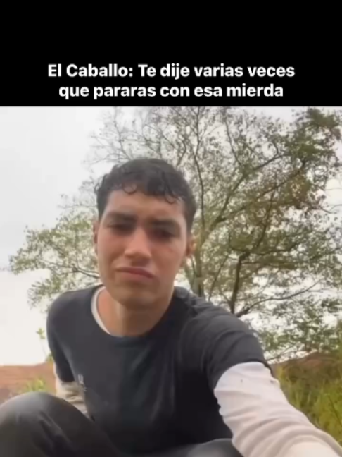 @Horses TikTok