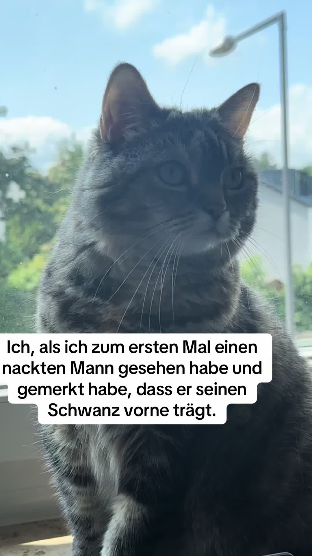 @Polly Zist