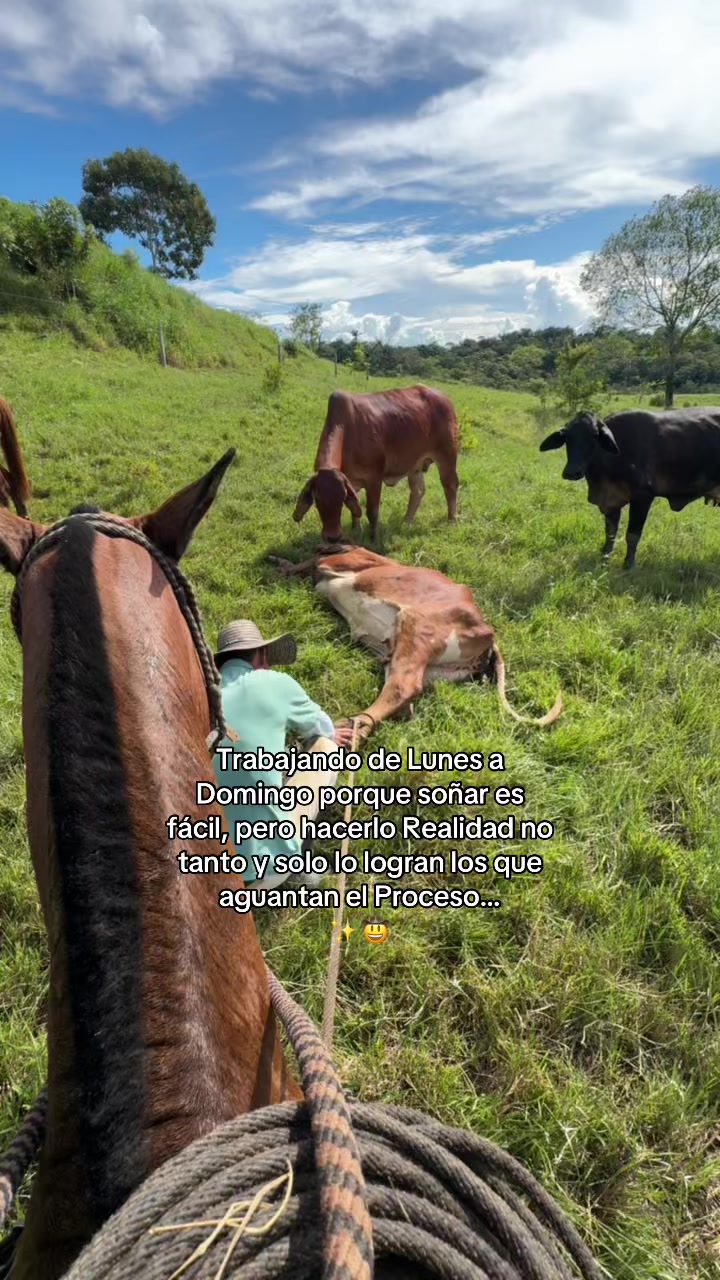 @Didier_🤠