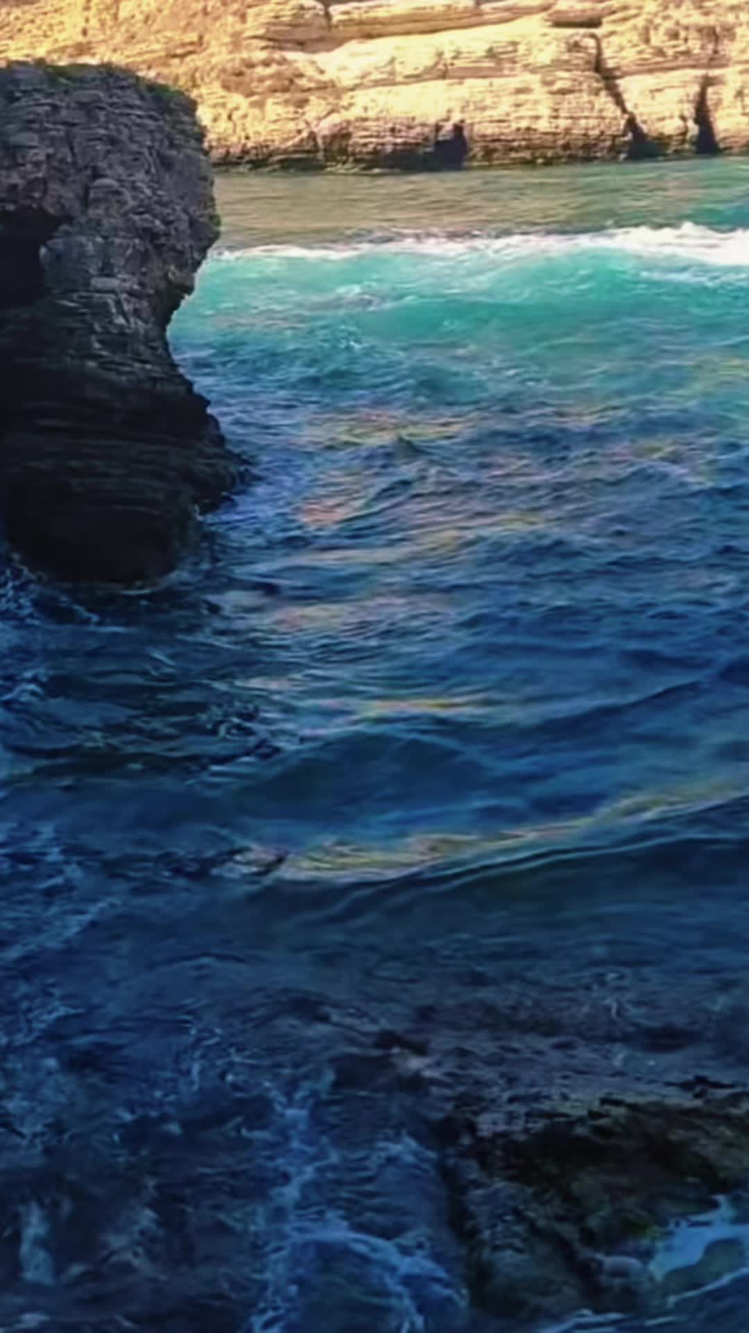 @Selin__93