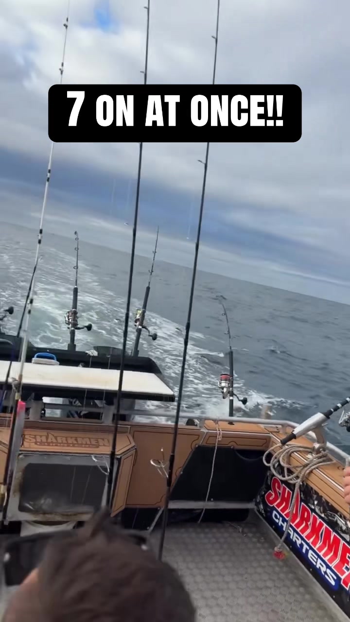 @daily.saltwater