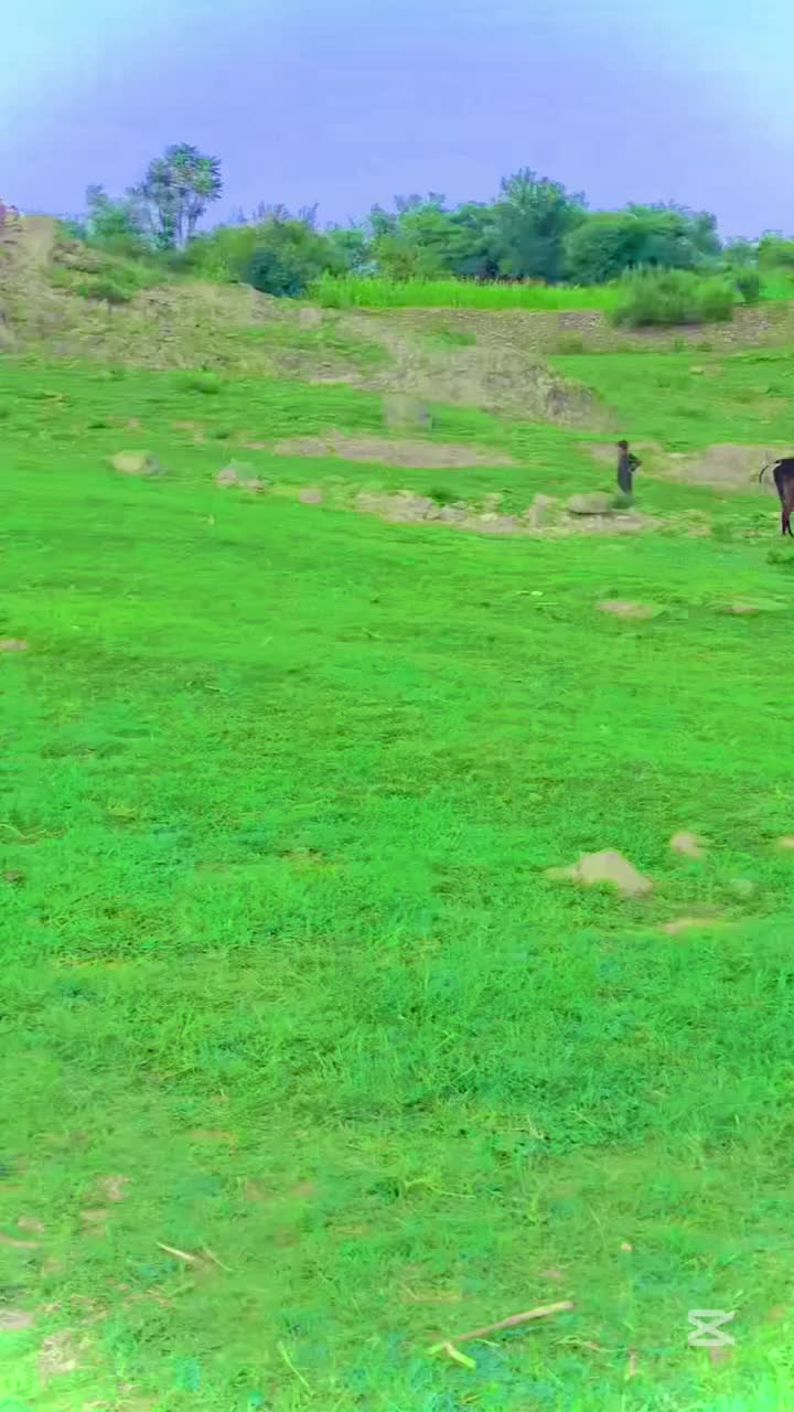 @Abid Shehzad