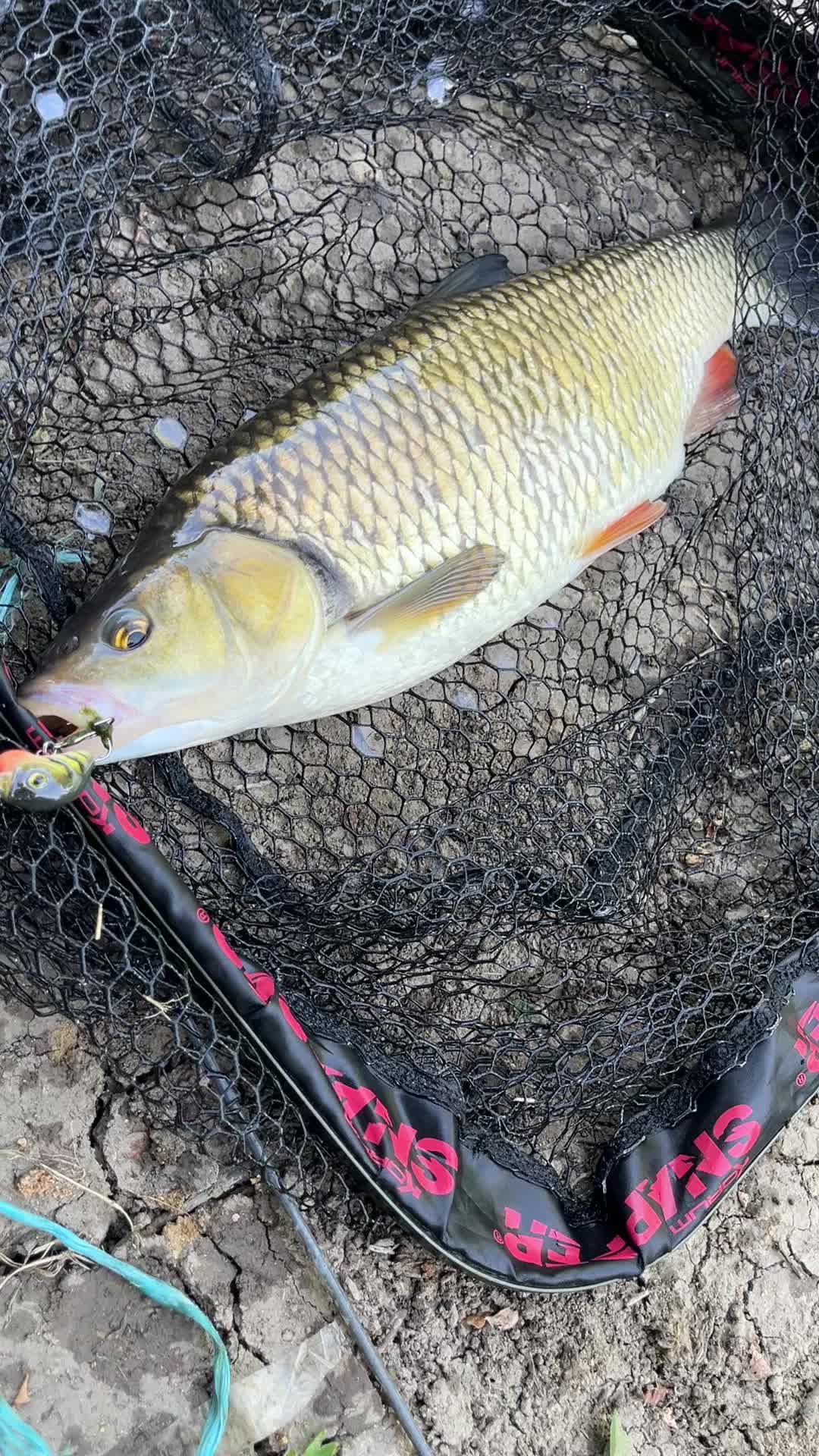 @Custom lure factory