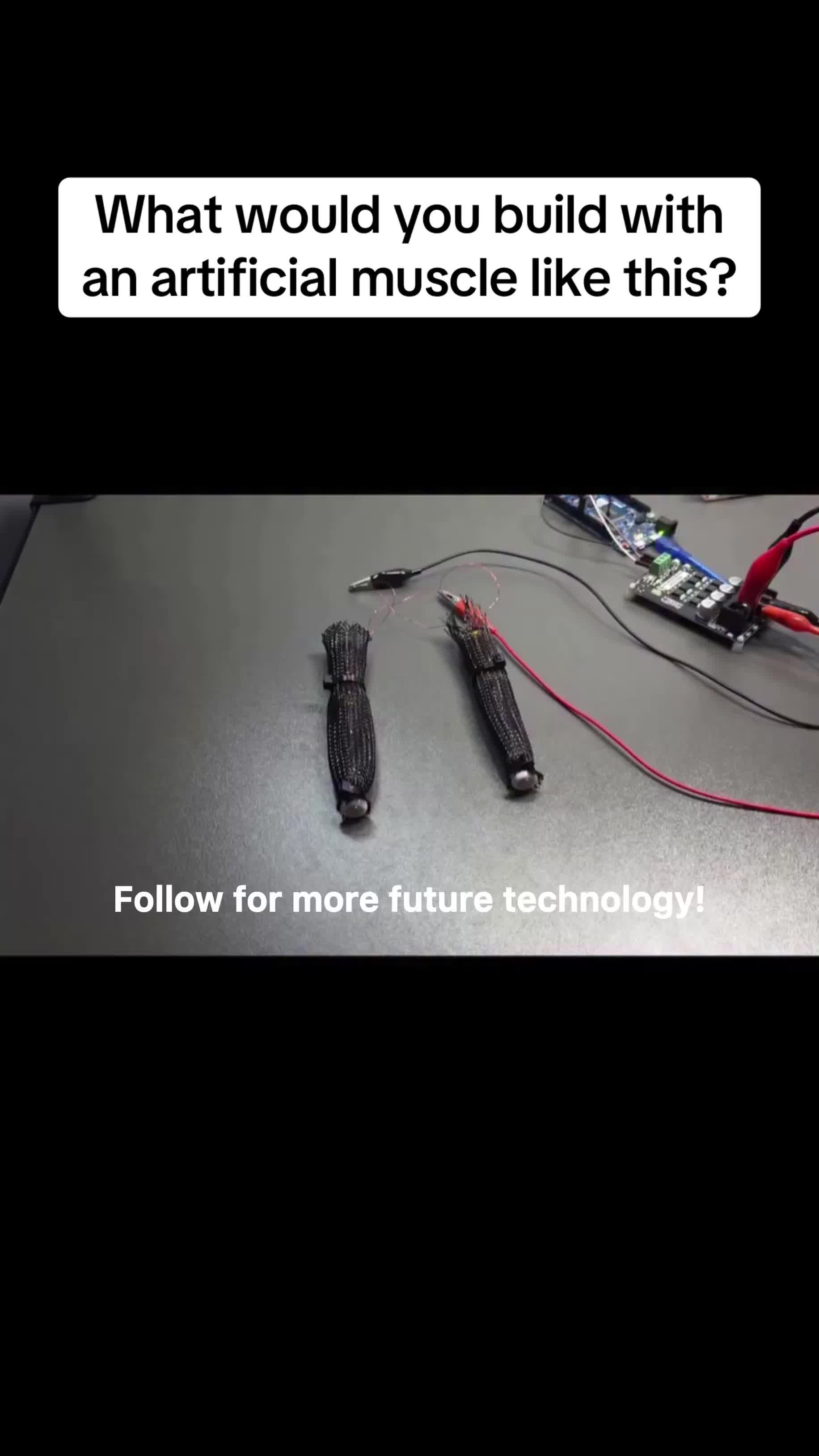 @bionic.future