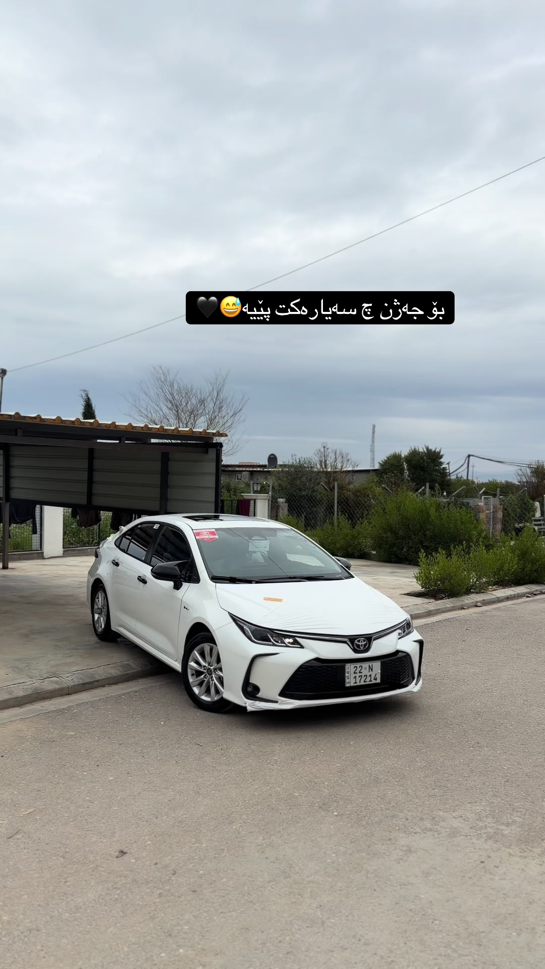 @hama-haybred