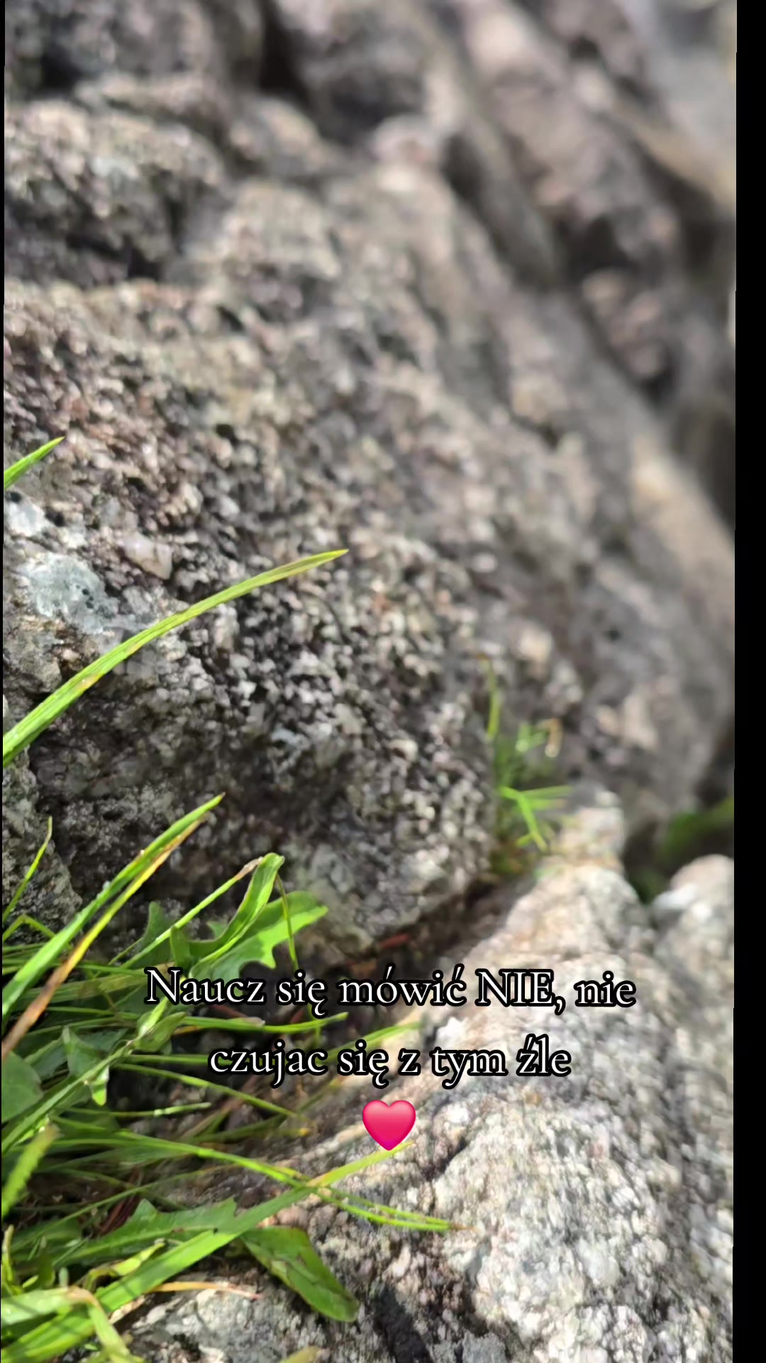 @Liśćpędziwiatr