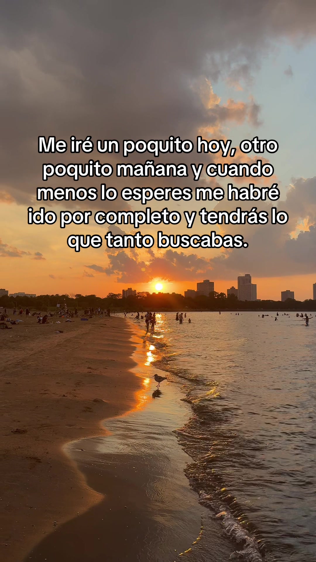 @Diana Cruz