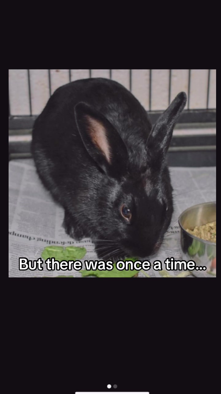@interestinglilcreature