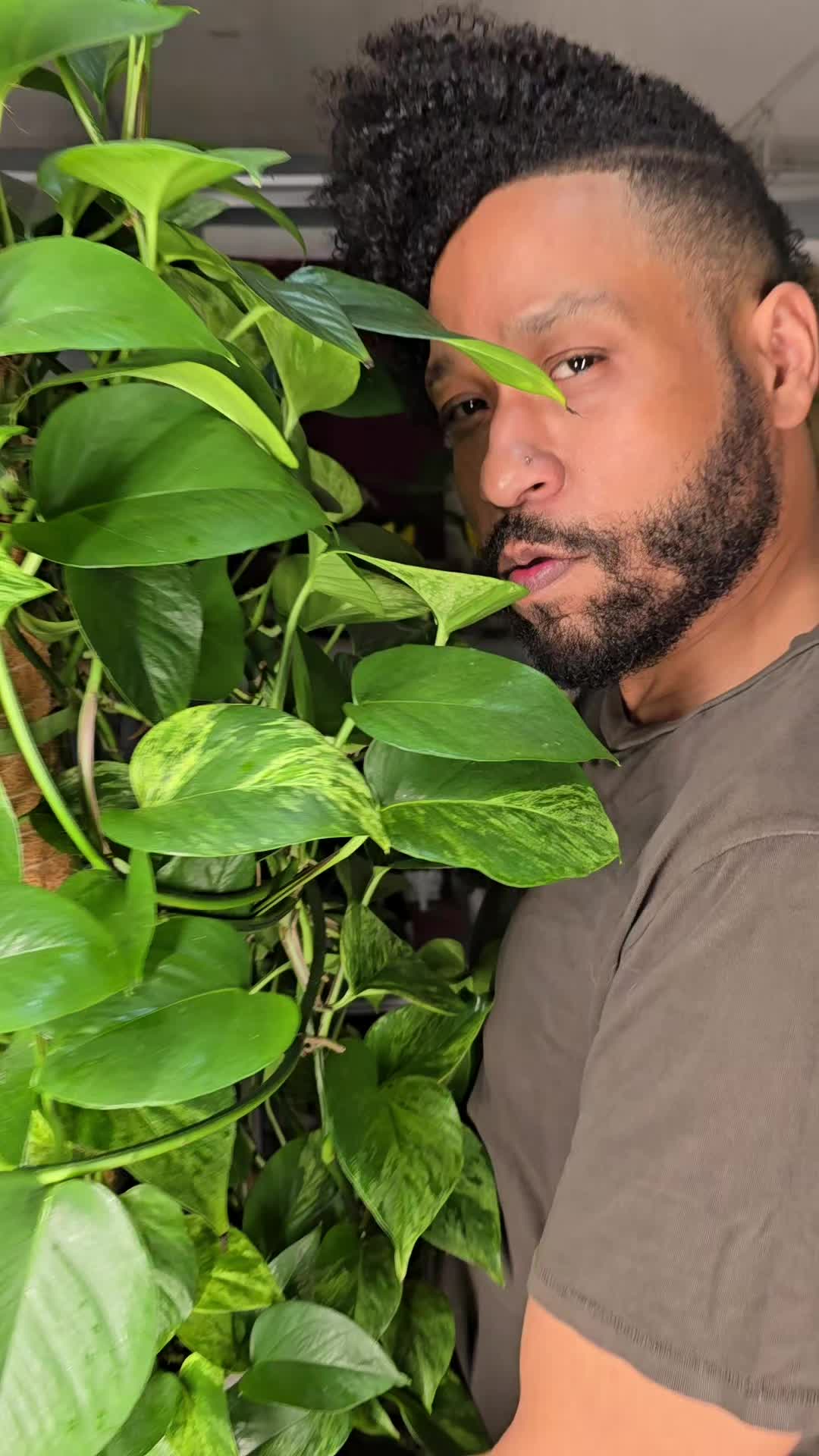 @JT - BigEGOPlants