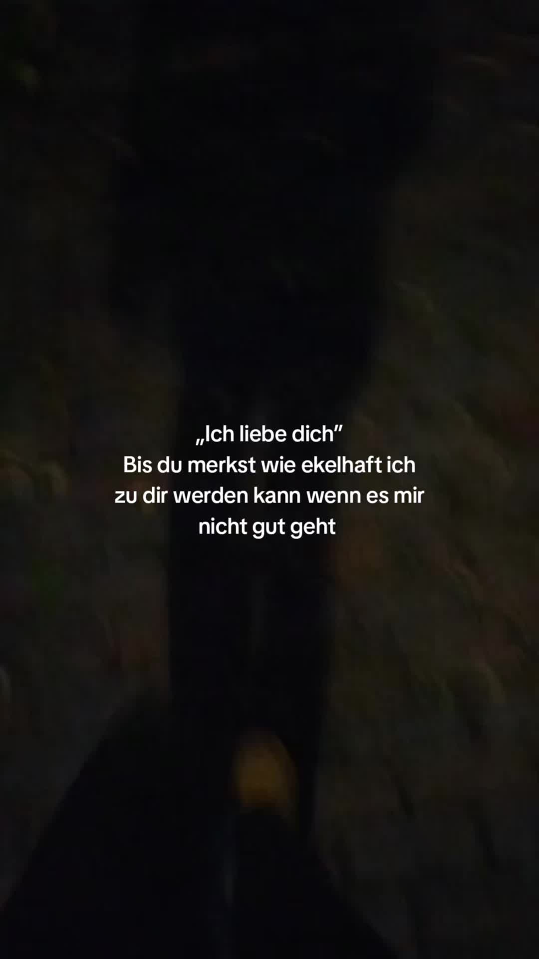 @shxxira🇩🇪🦅